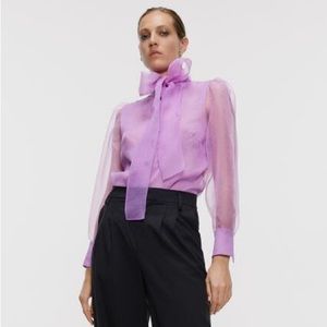 Zara sheer organza blouse